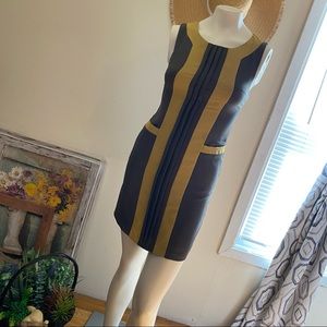 🫑 NWT Esley // Sleeveless Bodycon Dress